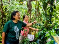 Keeping Kadazandusun cuisine alive for another generation Keeping Kadazandusun cuisine alive for another generation